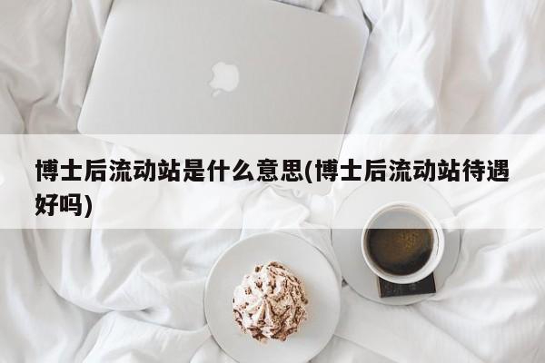 博士后流动站是什么意思(博士后流动站待遇好吗)