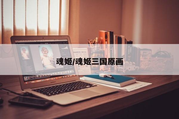 魂姬/魂姬三国原画