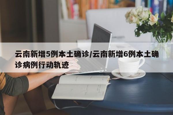 云南新增5例本土确诊/云南新增6例本土确诊病例行动轨迹