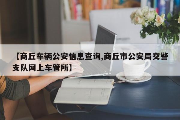 【商丘车辆公安信息查询,商丘市公安局交警支队网上车管所】