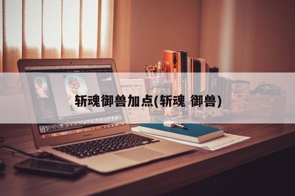 斩魂御兽加点(斩魂 御兽)