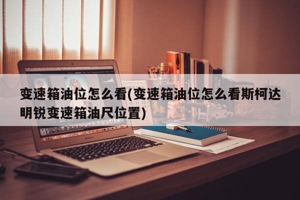 变速箱油位怎么看(变速箱油位怎么看斯柯达明锐变速箱油尺位置)