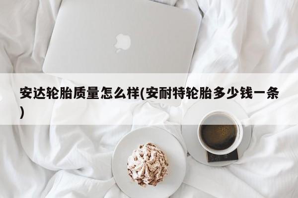 安达轮胎质量怎么样(安耐特轮胎多少钱一条)