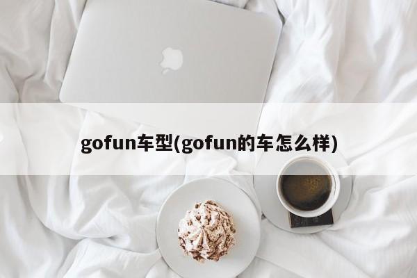 gofun车型(gofun的车怎么样)