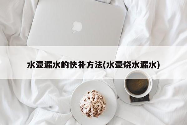 水壶漏水的快补方法(水壶烧水漏水)