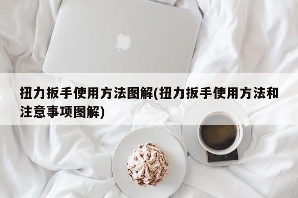 扭力扳手使用方法图解(扭力扳手使用方法和注意事项图解)