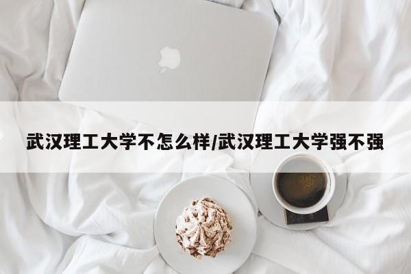 武汉理工大学不怎么样/武汉理工大学强不强