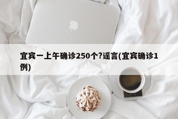 宜宾一上午确诊250个?谣言(宜宾确诊1例)