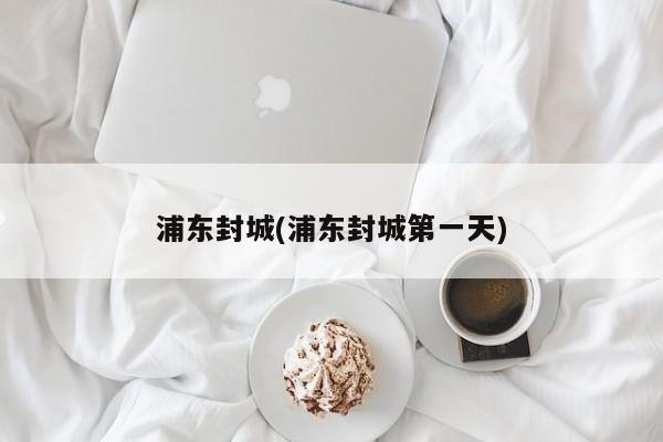 浦东封城(浦东封城第一天)
