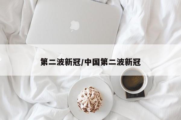 第二波新冠/中国第二波新冠