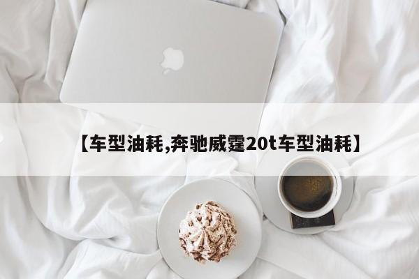 【车型油耗,奔驰威霆20t车型油耗】