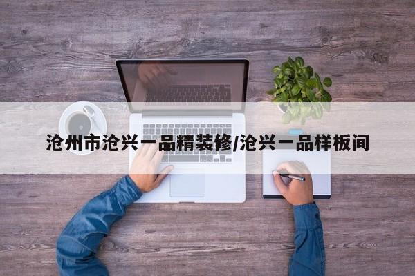 沧州市沧兴一品精装修/沧兴一品样板间