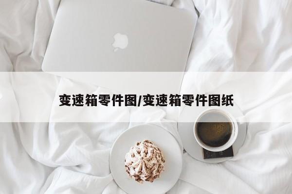 变速箱零件图/变速箱零件图纸