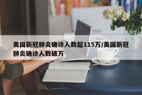 美国新冠肺炎确诊人数超115万/美国新冠肺炎确诊人数破万