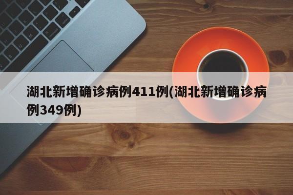 湖北新增确诊病例411例(湖北新增确诊病例349例)