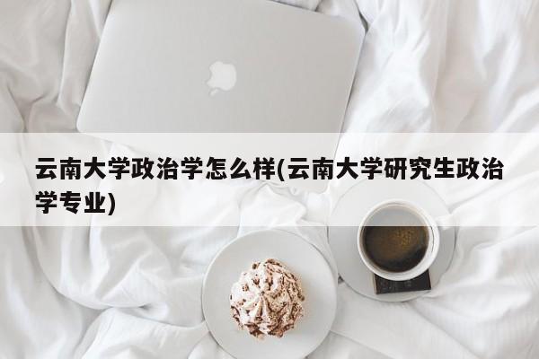 云南大学政治学怎么样(云南大学研究生政治学专业)